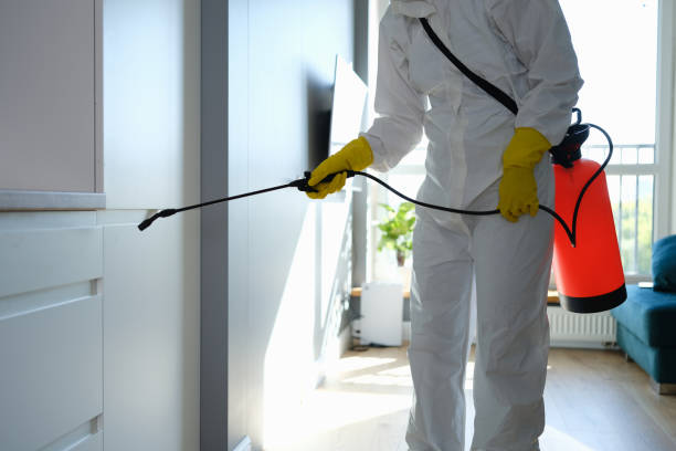 Best Toxic Mold Removal  in Pinedale, WY